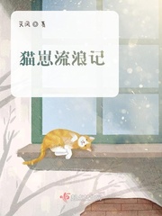 猫崽流浪记小说作品大全